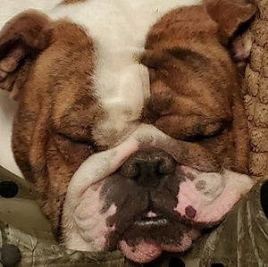 Meet your Posher, Robert